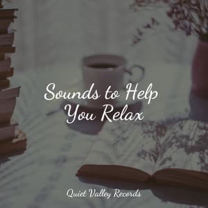 Sounds to Help You Relax - Especialistas de Musica para Dormir