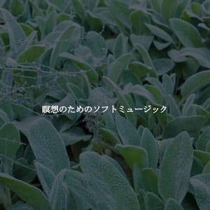 瞑想のためのソフトミュージック - Entspannende Musik