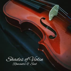 Shades of Violin: Romantic & Sad - Emotional Harmony Zone