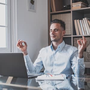 Serene Binaural Mindfulness: A Work Ambience Haven - The Binaural Beats Factory