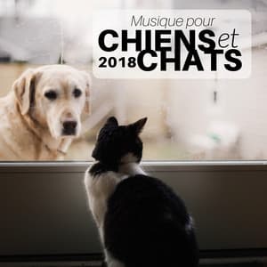 Musique pour Chiens et Chats 2018 - Berceuses pour Calmer vos Petits Amis - Musique Relaxante Relax
