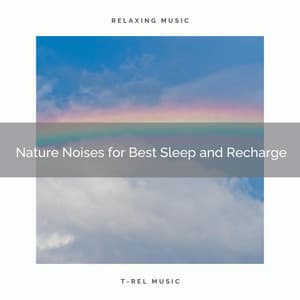 Nature Noises for Best Sleep and Recharge - Foresty Ambient Noises