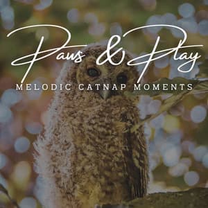 Paws & Play: Jazz Lounge Grooves for Pets - Soft Jazz Songs
