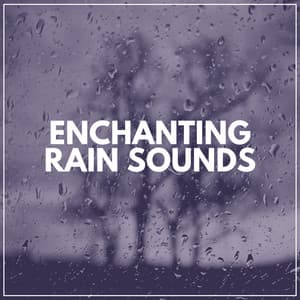 Enchanting Rain Sounds - Rain is my Life