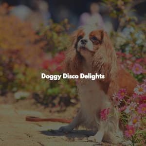 Doggy Disco Delights - Musica para Restaurantes De Lujo