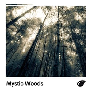 Mystic Woods - Worldwide Nature Studios