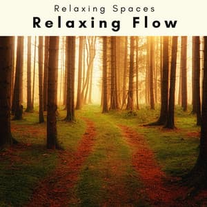 4 Ever Relaxing Flow - Relaxing Spaces