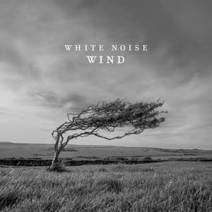 White Noise - Sound Therapy Revolution