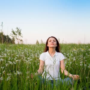 Nature's Awakening Presence: Harmonious Binaural Waves for Tranquil Meditation - Nature Field Recorders