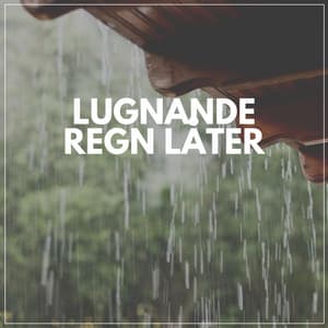 Lugnande Regn Låter - Regnskur