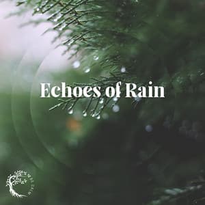 Echoes of Rain - Balsa Rain