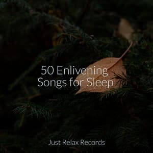 50 Enlivening Songs for Sleep - Música Relajante para Bebés