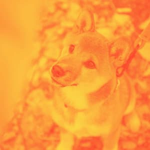 Feelings for Anxious Hound - Puppy Sleeping Sounds