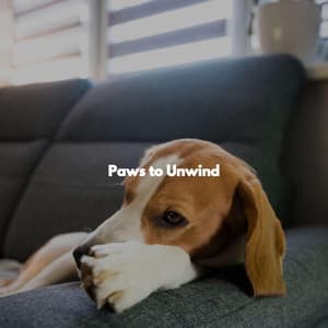 Paws to Unwind - Coffee Table Jazz Romance