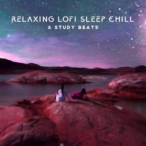 Relaxing Lofi Sleep Chill & Study Beats - Lo-fi Chill Zone