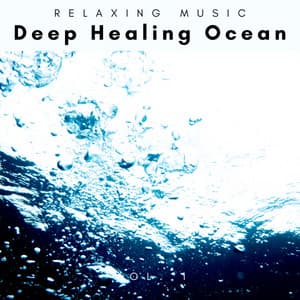 1 Deep Healing Ocean vol. 1 - World Recorders