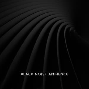 Black Noise Ambience: Sleep, Study, Focus, Relaxation - Total Relax Music Ambient