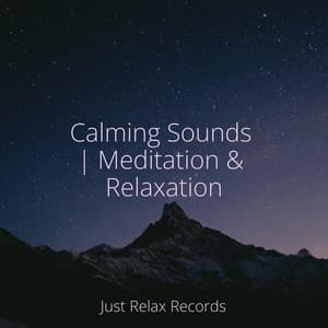 Calming Sounds | Meditation & Relaxation - Música Relajante para Bebés