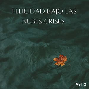 Felicidad Bajo Las Nubes Grises Vol. 2 - Sonidos de lluvia ASMR