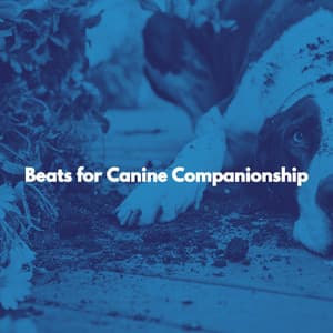 Beats for Canine Companionship - Restaurante Jazz Clasico