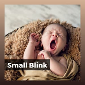 Small Blink - Baby Lullaby