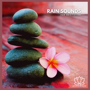 Rain Sounds for Meditation - Meditation Zen Master