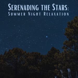 Serenading the Stars: Summer Night Relaxation" - Nature Is Calling