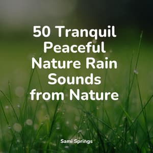 50 Tranquil Peaceful Nature Rain Sounds from Nature - Rain Sound Plus