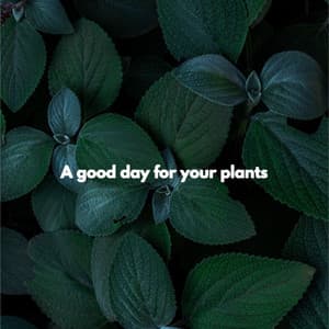 A good day for your plants - Smooth Jazz Deluxe
