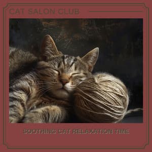 Soothing Cat Relaxation Time - Cat Salon Club