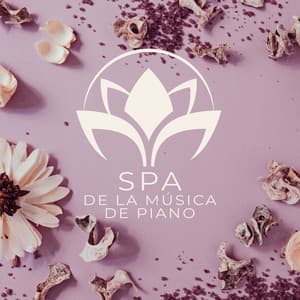 SPA de la Música de Piano - Academia de Música para SPA