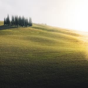 Sleep Deep Baby Sound - Grey Noise Baby Sleep