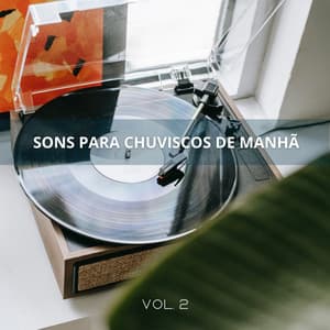 Sons Para Chuviscos De Manhã Vol. 2 - Meditação Experiência Musical