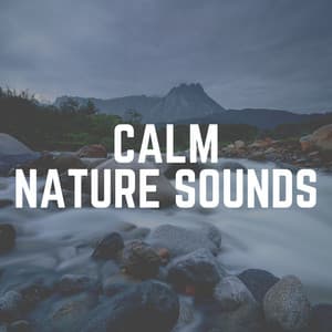 Calm Nature Sounds - Rivers and Streams