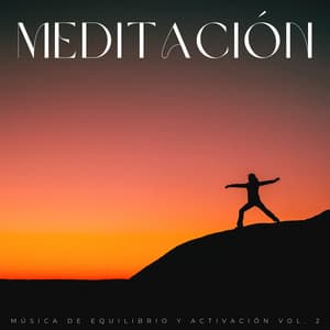 Meditación: Música De Equilibrio Y Activación Vol. 2 - El laboratorio de sonido de meditación y zen de ruido blanco
