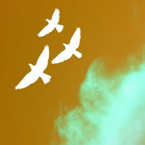 Acoustic and Electric Piano Jazz Duo - Bgm for Invisible Coffee - Relaxing Jazz Cafe