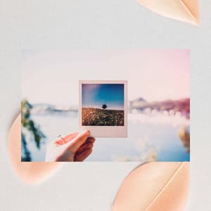 Dream-Like Background Music for Summer Tones - Cafe Jazz Coffee House