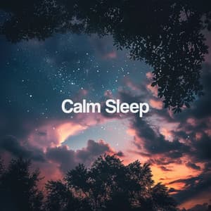 Calm Sleep - Meditation Music