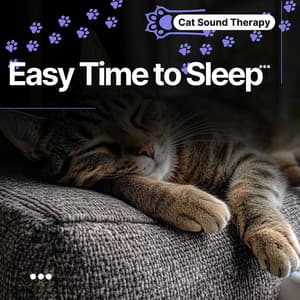 Cat Sound Therapy: Blissful Calm, Easy Time to Sleep - Cat & Calm