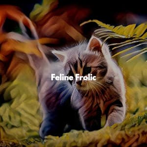 Feline Frolic - Cat Music Relaxation