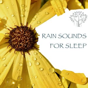 Rain Sounds for Sleep - Natural Spirit