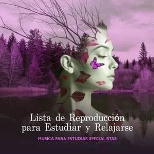 Lista de Reproducción para Estudiar y Relajarse - Musica para Estudiar Specialistas