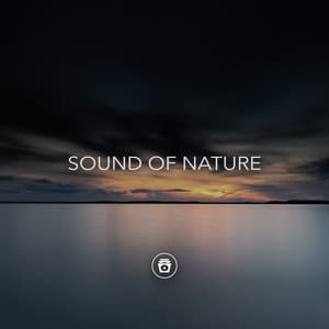 Sound Of Nature - Jungle Sounds