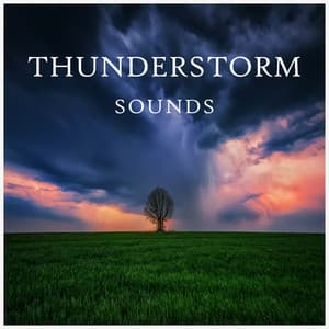 Thunderstorm Sounds - Reiki Tribe