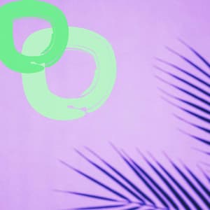 Pulsating Bossa Guitar Trio - Ambiance for Keen Spirits - Hotel Music