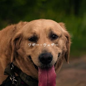 ワギー・ウェザー - Easy Jazz Listening