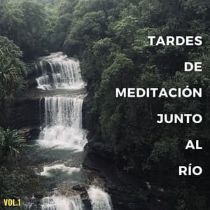 Tardes De Meditación Junto Al Río Vol. 1 - Sonidos de corrientes de agua blanda