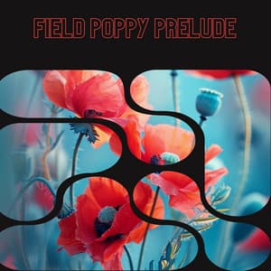 Field Poppy Prelude - Floral Health - HerBaLance