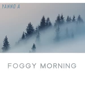 Foggy Morning - Yanno A