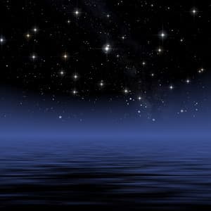 Fantasy's Frenzied Symphony - Arctic Comfort